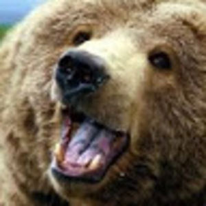 Meet your Posher, Some